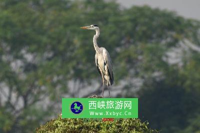 攀西沙拉民族生态旅游区