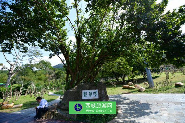 仙湖植物园