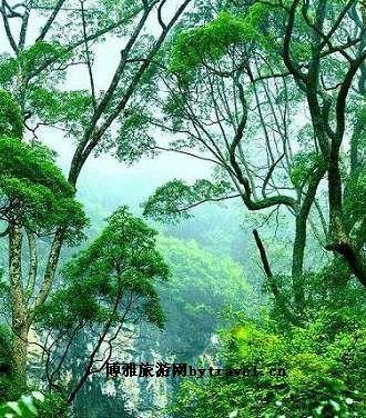 太白洞风景区