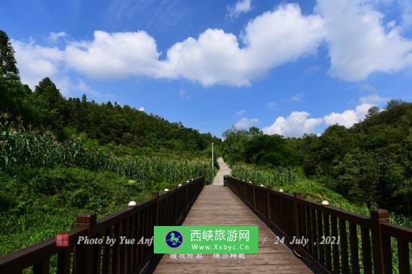 百里杜鹃风景区