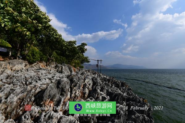 在岛上有一片“太湖石群落景区”。“太湖石”是一种珍贵的园林观赏石。因这种石头大都产于太湖而得名。一块好的太湖石价值不蜚，求之不易。而这个岛上的太湖石不仅种类繁多、姿态万千、怪异非常；而且规模宏大、成林成片、构成群落，蔚为壮观。