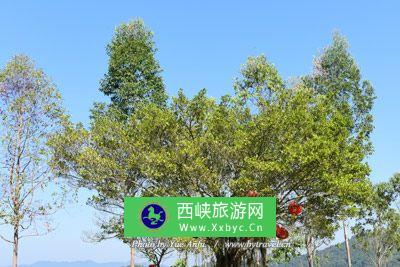 沙岭堡遗址